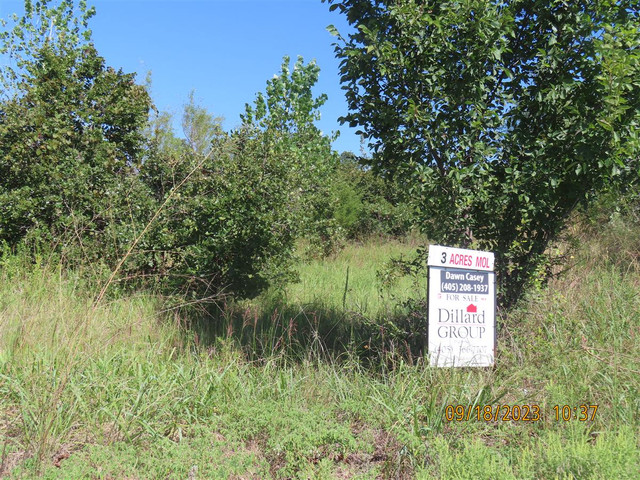 17171 Hickory Trl