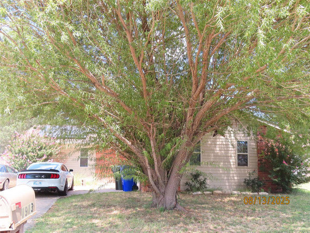 1913 Vanessa Dr