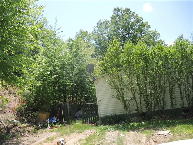 A picture of the property located at 59 HEAVENLY LN, FAIRVIEW NC 28730.