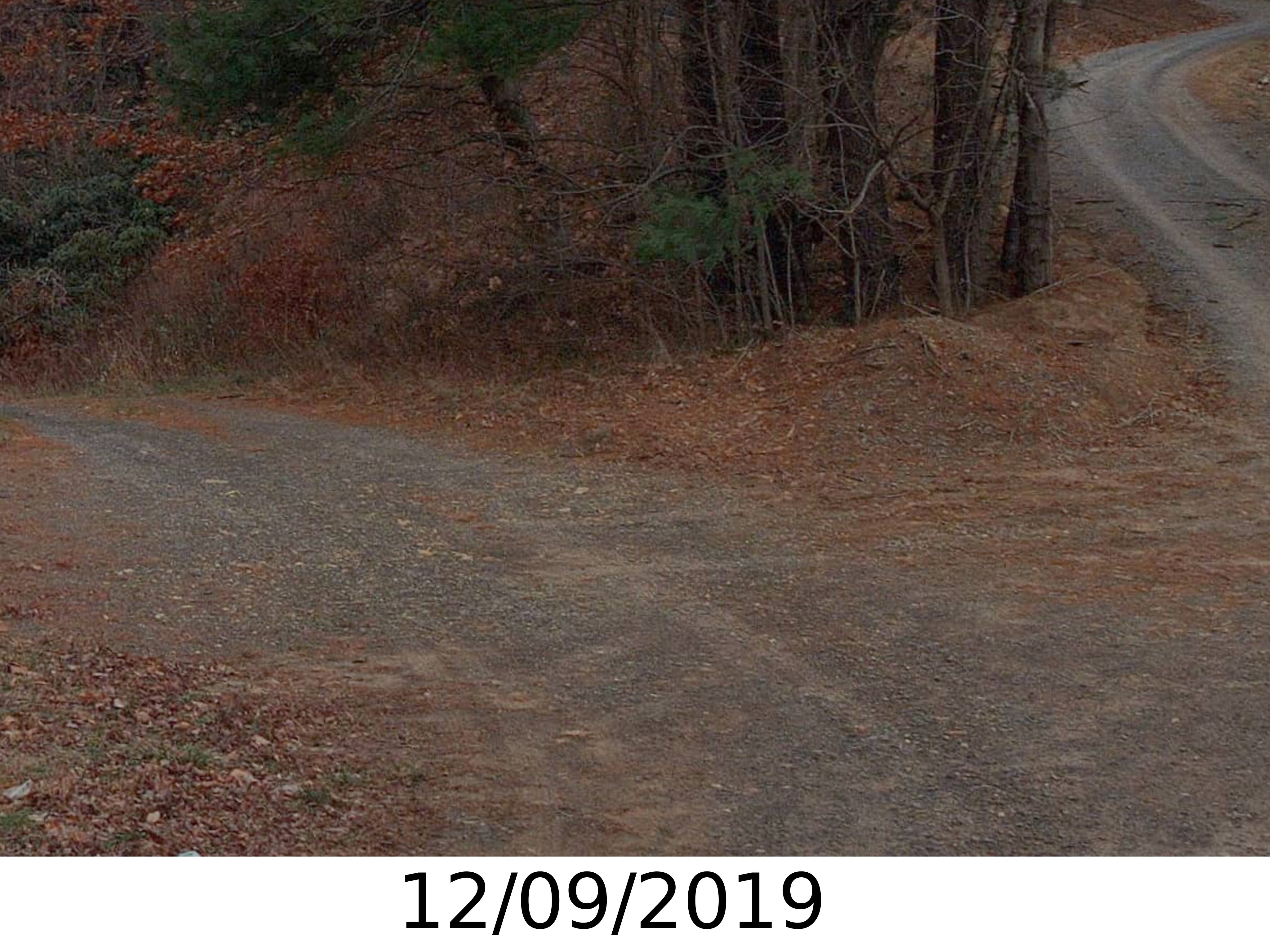 A picture of the property located at 116 LYTLE COVE RD, SWANNANOA NC 28778.