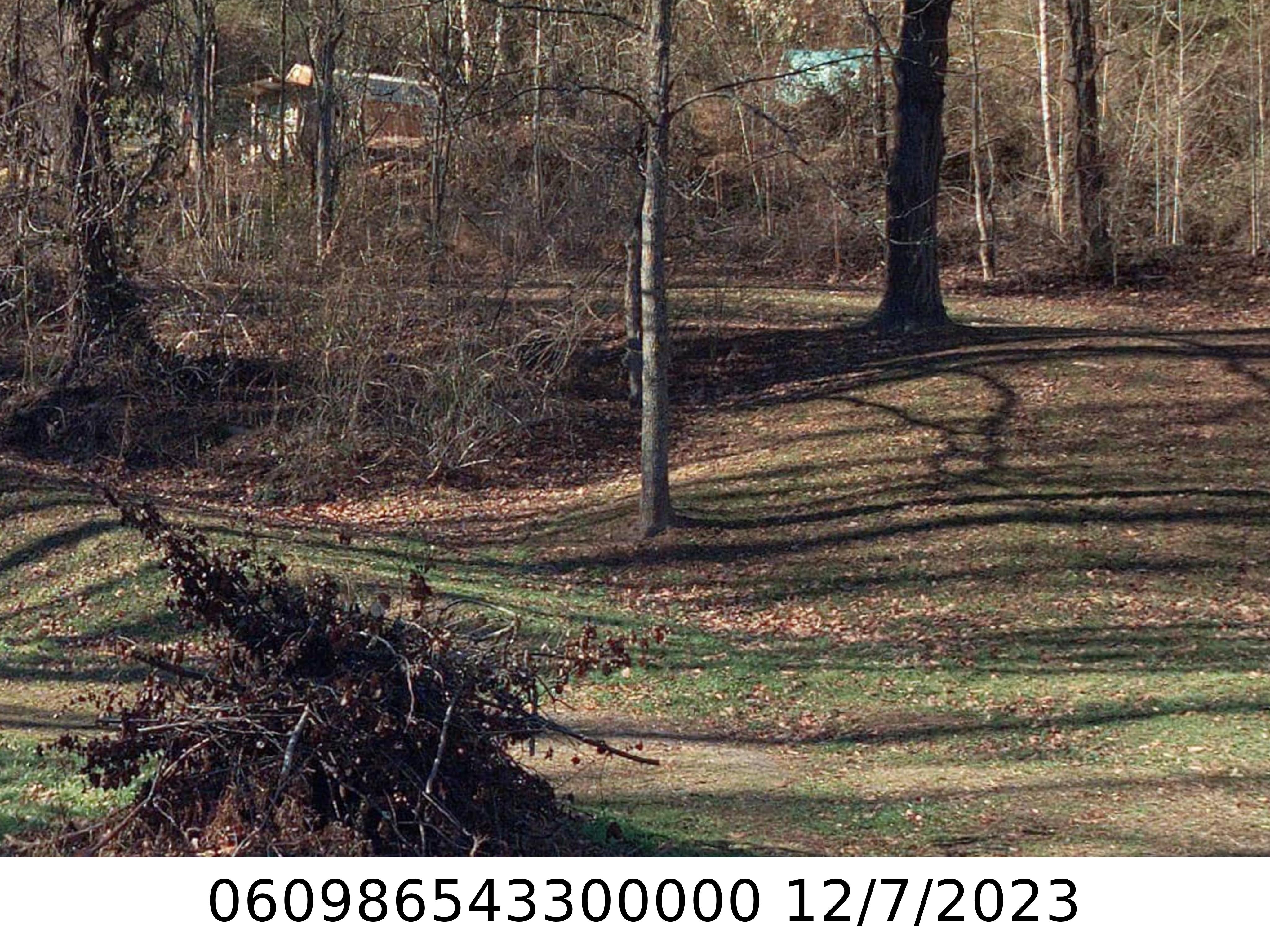 A picture of the property located at 119 KENNEDY ST, BLACK MOUNTAIN NC 28711.