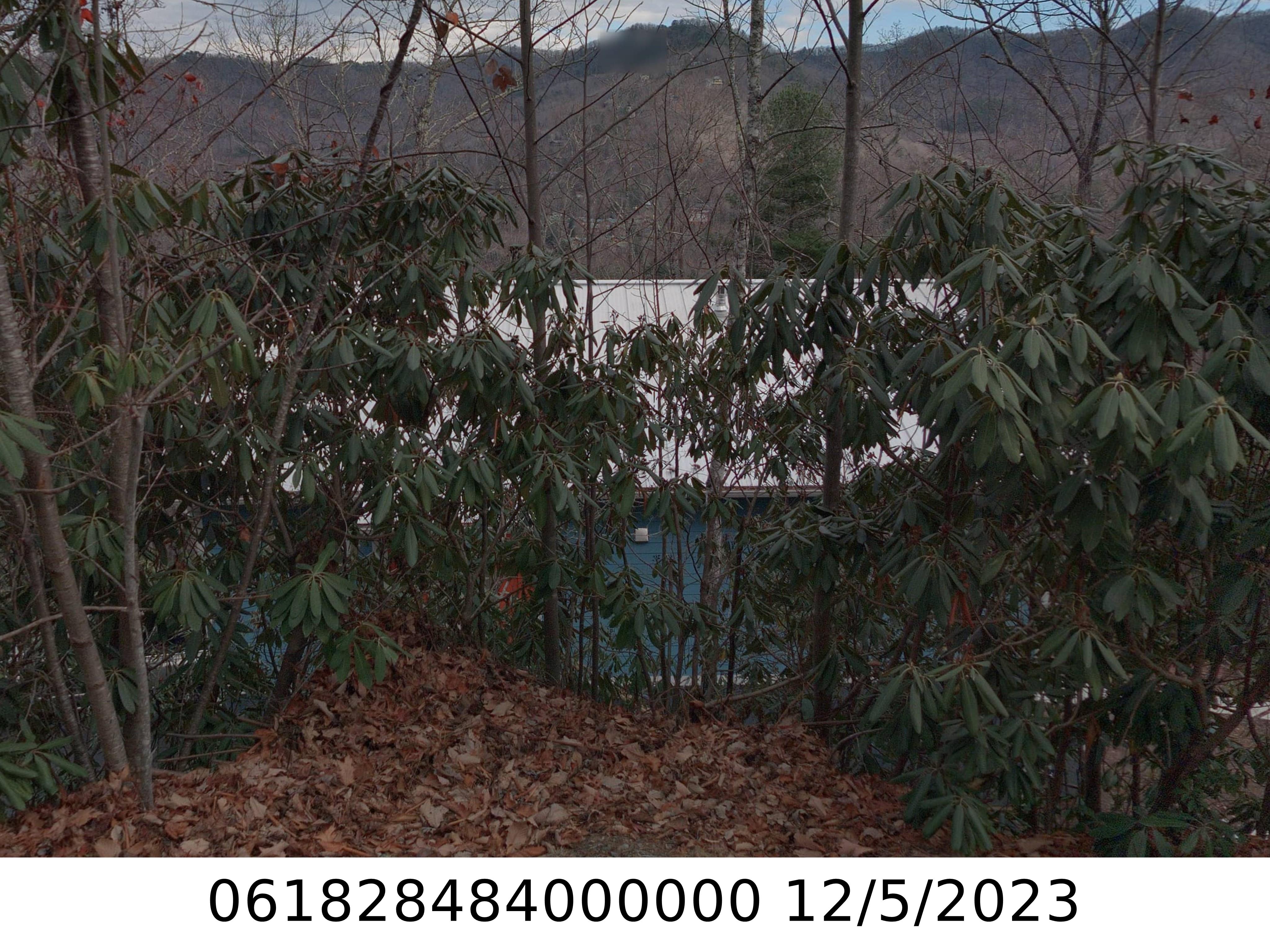 A picture of the property located at 190 PEARSON LN, BLACK MOUNTAIN NC 28711.
