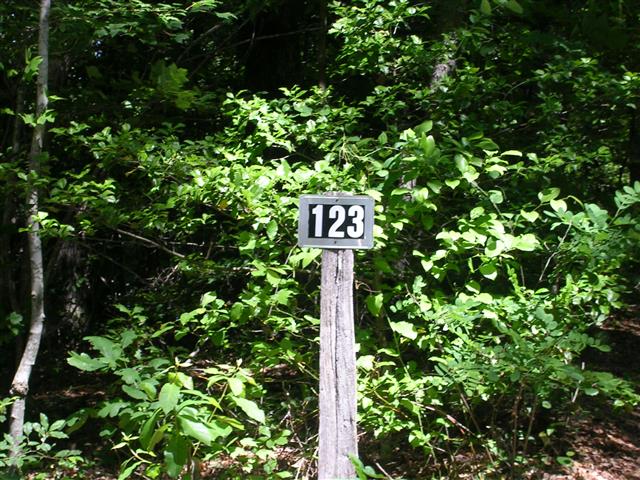 A picture of the property located at 109 HILL ST, BLACK MOUNTAIN NC 28711.