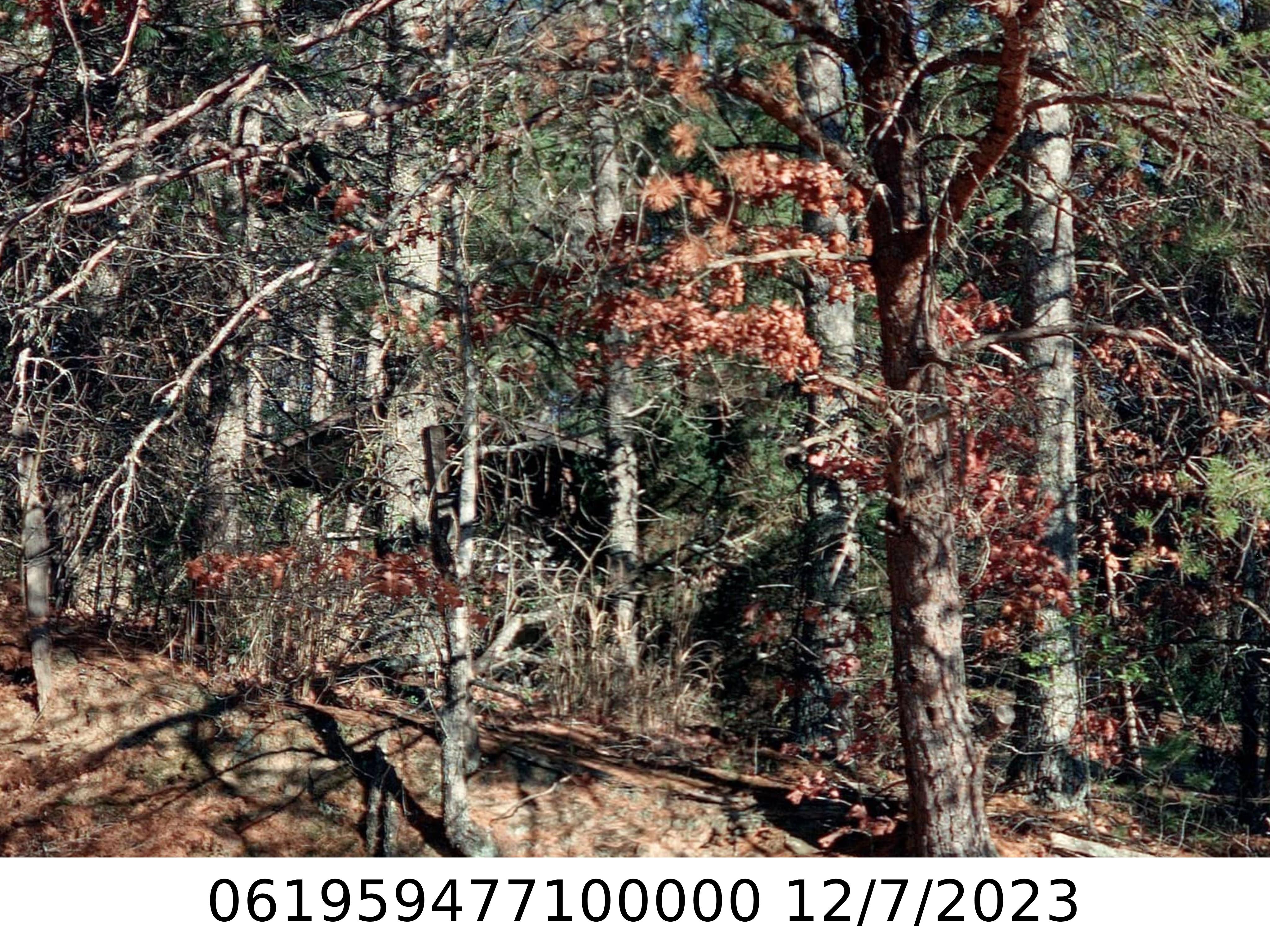 A picture of the property located at 107 RAINBOW LN, BLACK MOUNTAIN NC 28711.