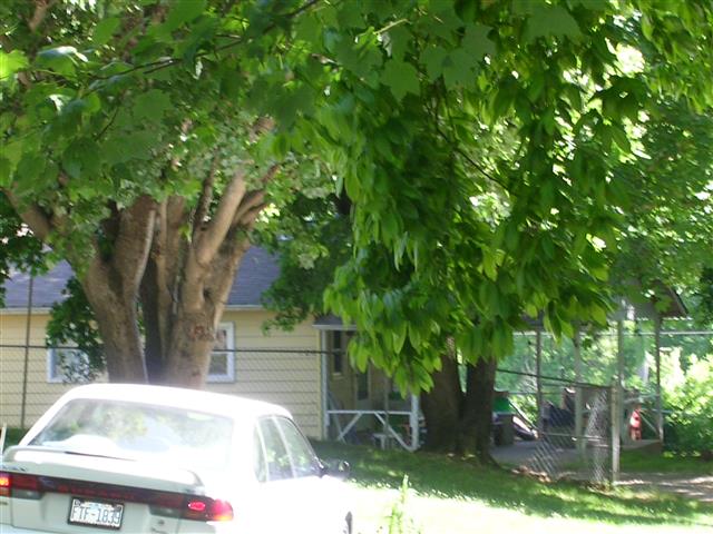 A picture of the property located at 106 HIGH ST, BLACK MOUNTAIN NC 28711.