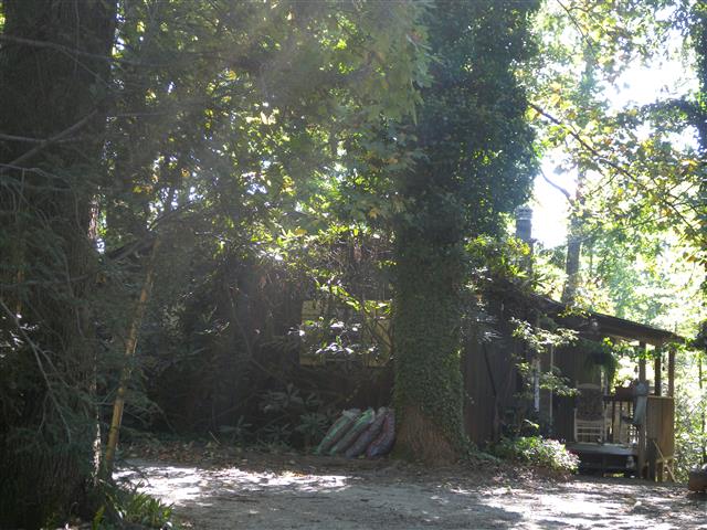 A picture of the property located at 100 TREE HAVEN RD, BLACK MOUNTAIN NC 28711.