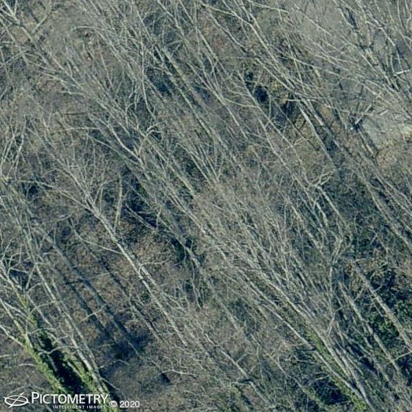 A picture of the property located at 20 PATHWAY LN, CANDLER NC 28715.