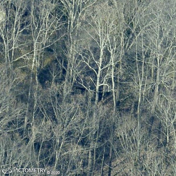 A picture of the property located at 60 TRILLIUM COVE LN, CANDLER NC 28715.