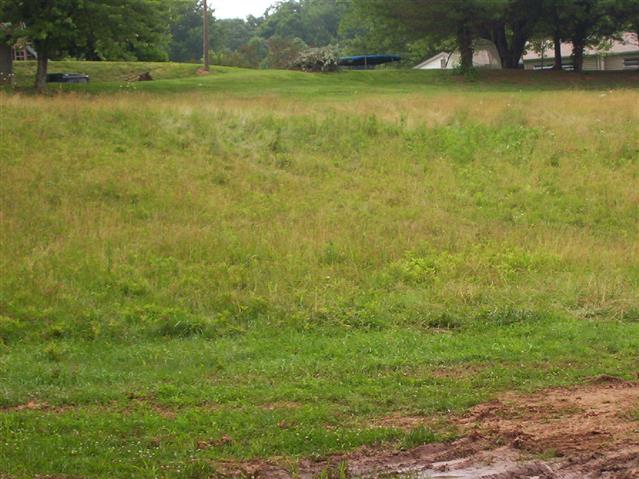A picture of the property located at 107 ROBINSON COVE RD, CANDLER NC 28715.