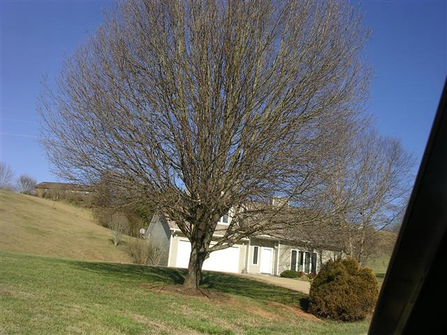 A picture of the property located at 12 LADY BUG LN, LEICESTER NC 28748.