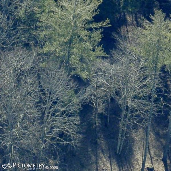 A picture of the property located at 30 LITTLE MOUNTAIN LN, LEICESTER NC 28748.