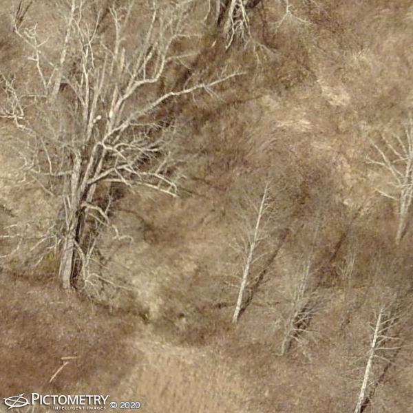 A picture of the property located at 15 BUTTERCUP LN, MARSHALL NC 28753.