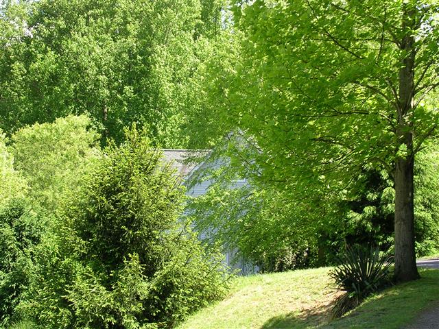 A picture of the property located at 30 CARDINAL LN, CANDLER NC 28715.