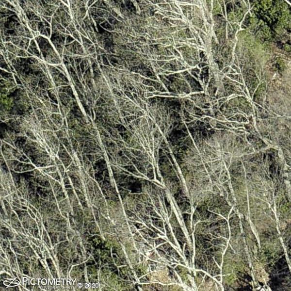 A picture of the property located at 67 ORVIS STONE CIR, CANDLER NC 28715.