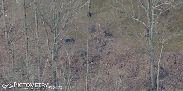 A picture of the property located at 25 GERTRUDE LN, CANDLER NC 28715.