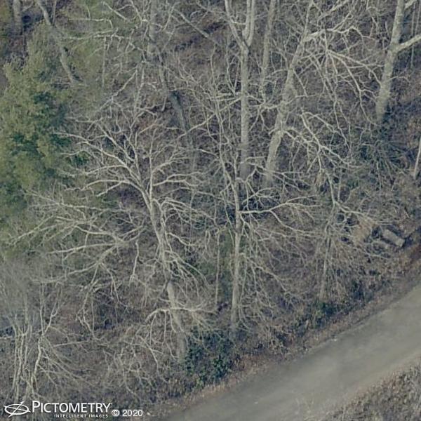 A picture of the property located at 55 PROPST RD, CANDLER NC 28715.