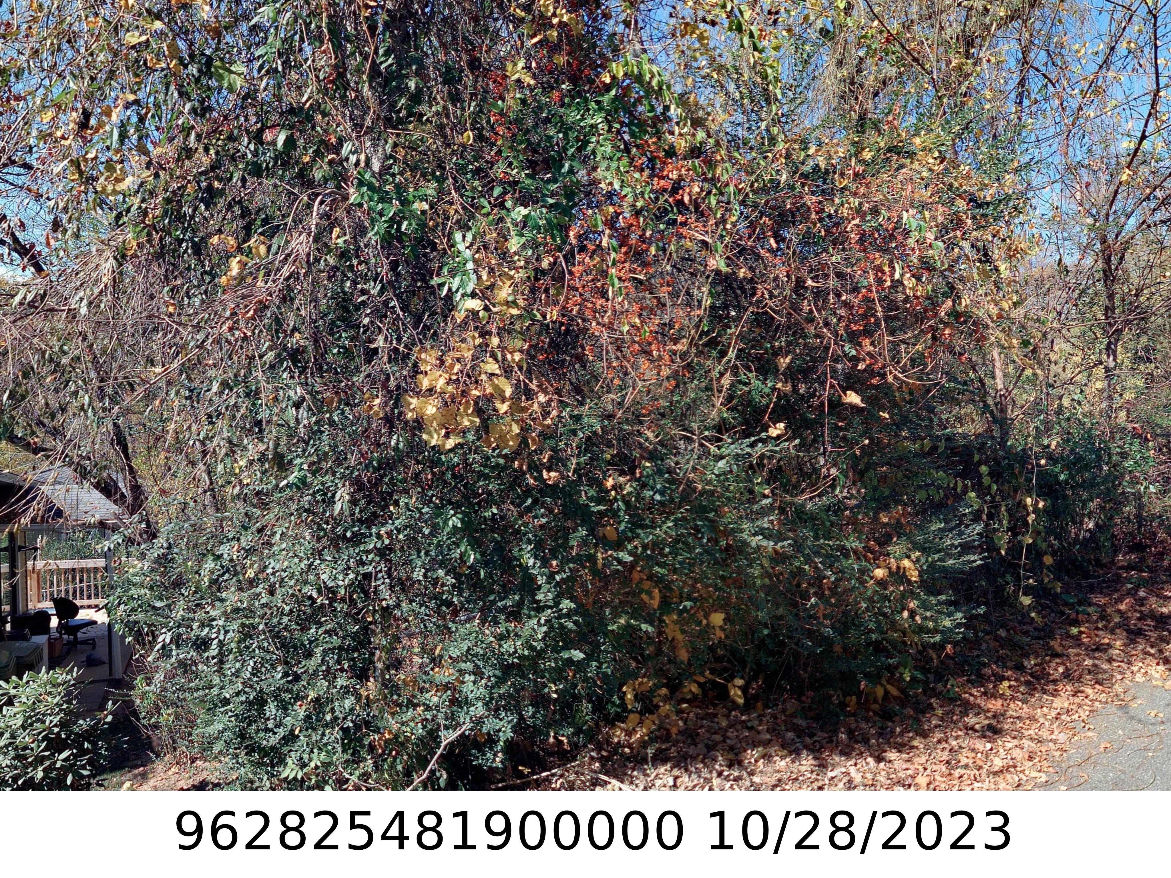 A picture of the property located at 32 RHUDY RD ASHEVILLE NC.