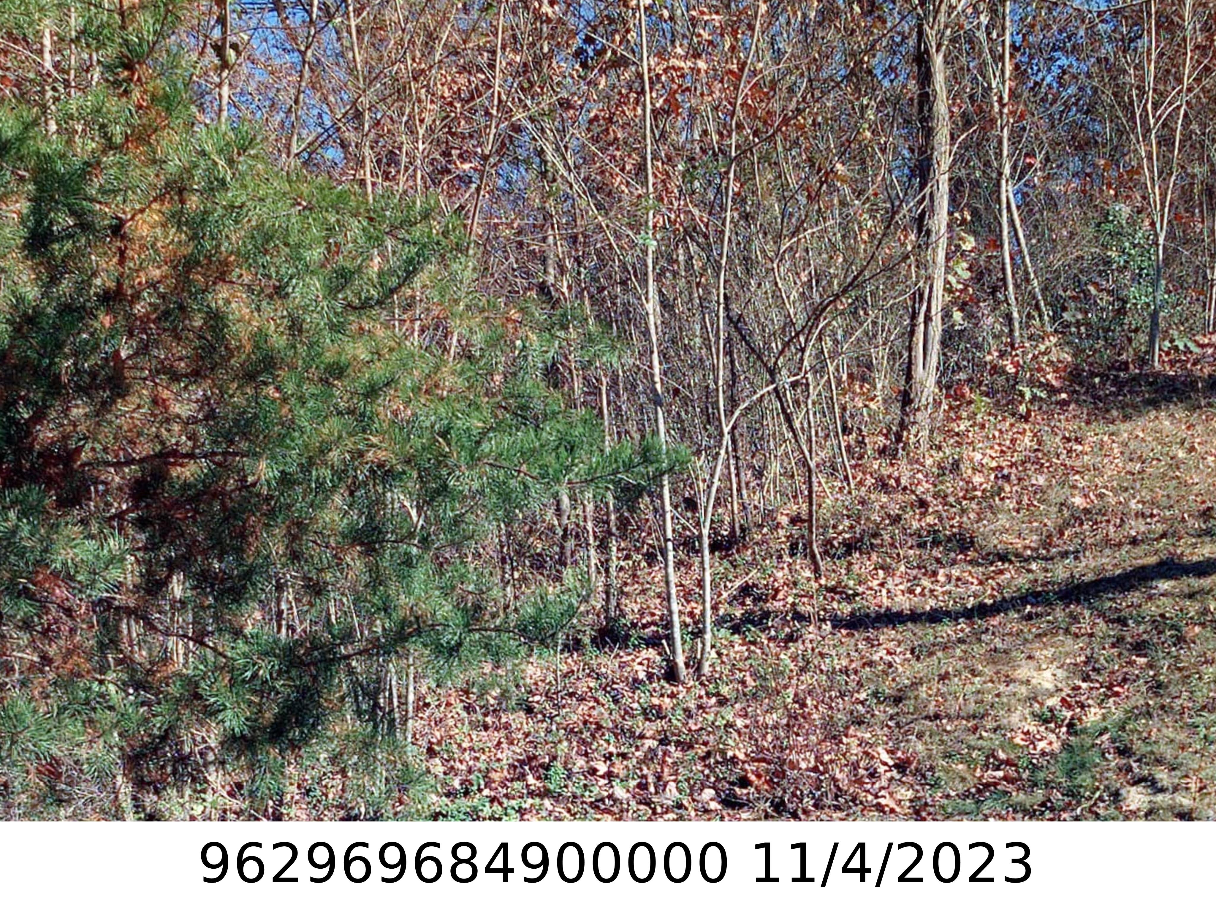 A picture of the property located at 87 COVERED BRIDGE LN, ASHEVILLE NC 28804.