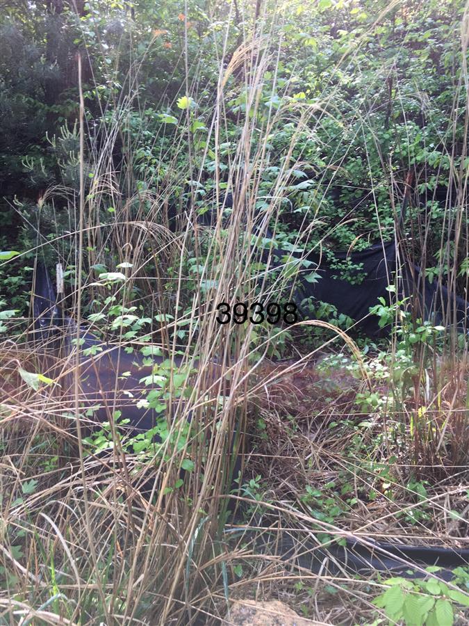 A picture of the property located at 2112 WILSON RD, ASHEVILLE NC 28806.