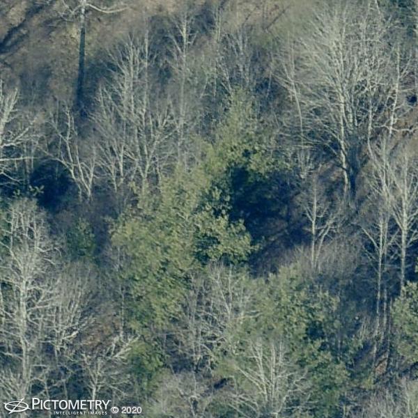 A picture of the property located at 25 OLD BAKER LN, ARDEN NC 28704.