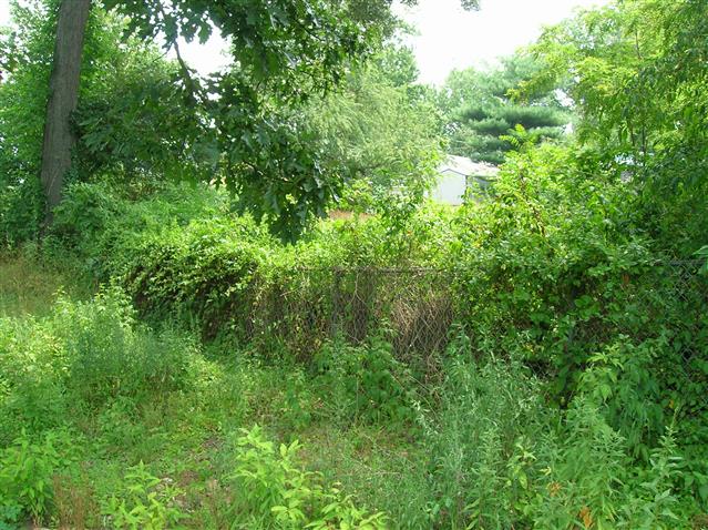 A picture of the property located at 15 RIVERLINK LN, ASHEVILLE NC 28806.