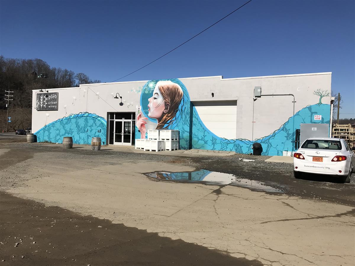 A picture of the property located at 5 FOUNDY ST ASHEVILLE NC.