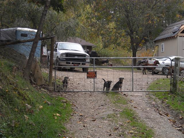 A picture of the property located at 15 CHERRY WILLOW LN, ASHEVILLE NC 28804.