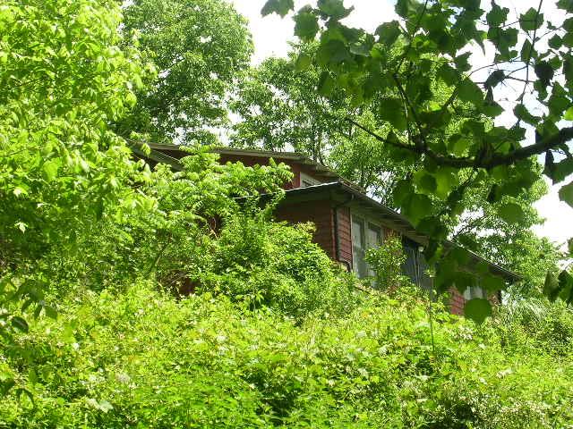 A picture of the property located at 655 PEARSON BRIDGE RD, ASHEVILLE NC 28806.