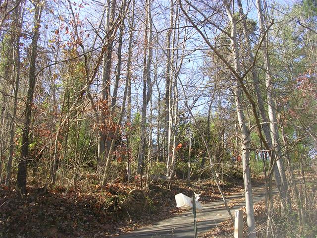 A picture of the property located at 11 ROBIN LN, ASHEVILLE NC 28806.