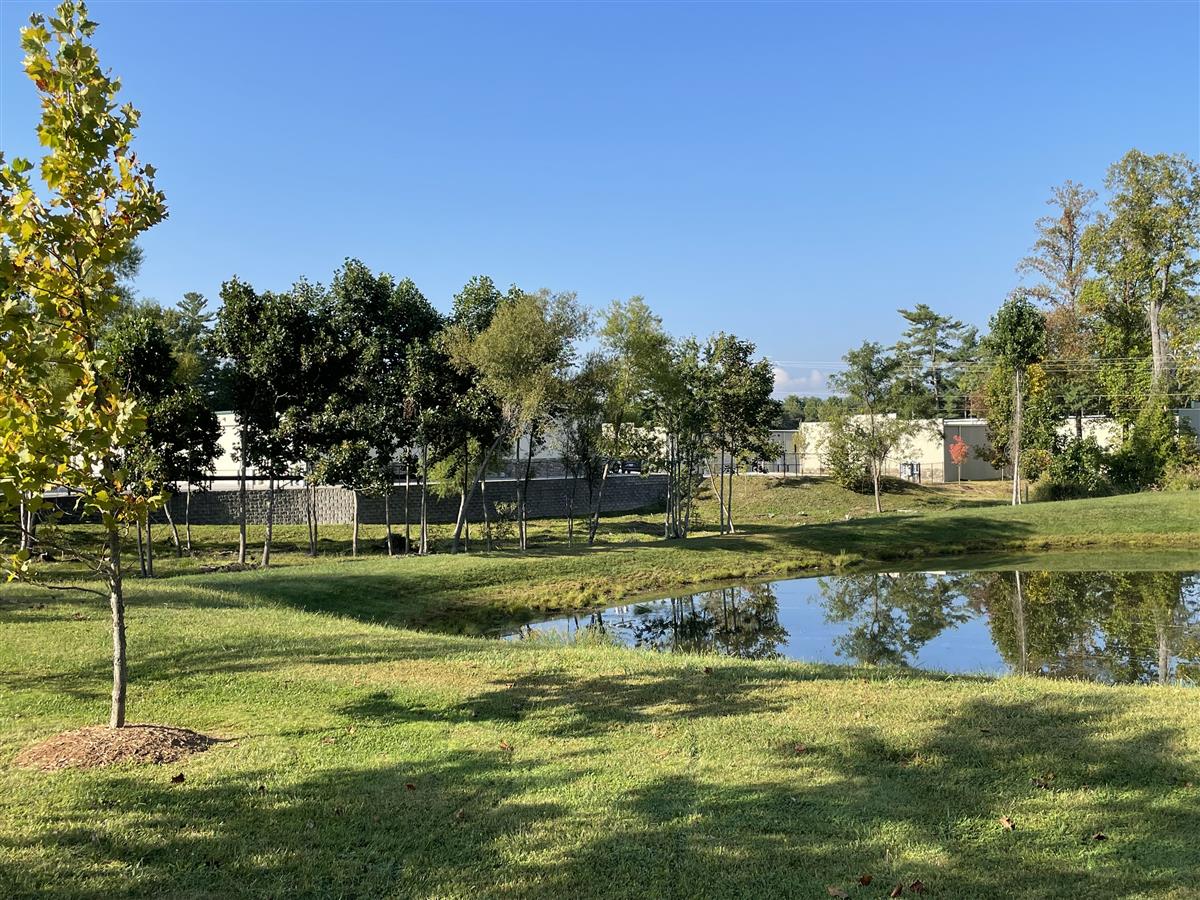 A picture of the property located at 25 GLENN WILLOW DR, ARDEN NC 28704.