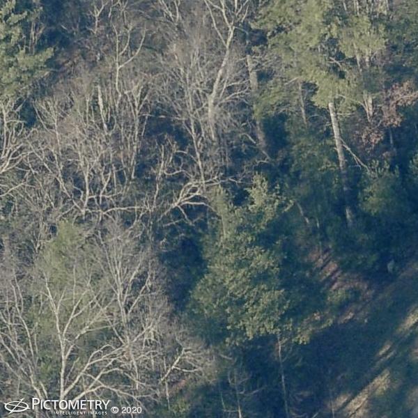 A picture of the property located at 14 PRESQUE ISLE WAY, ASHEVILLE NC 28803.