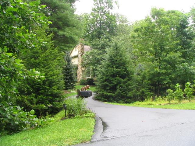A picture of the property located at 4 FIR TREE LN, ASHEVILLE NC 28803.