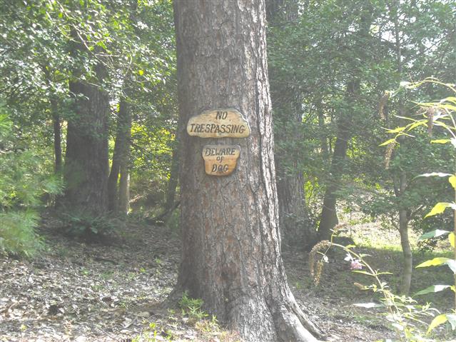 A picture of the property located at 7 BROOKLAWN CHASE, ASHEVILLE NC 28803.