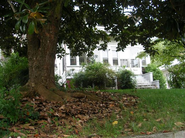A picture of the property located at 110 BLANTON ST, ASHEVILLE NC 28801.