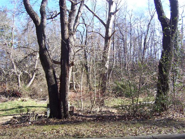A picture of the property located at 12 STONER VIEW RD, ASHEVILLE NC 28803.