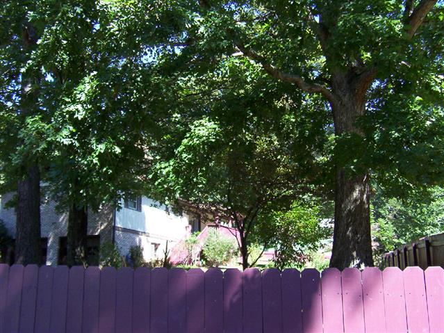 A picture of the property located at 116 BIRCH LN, ARDEN NC 28704.