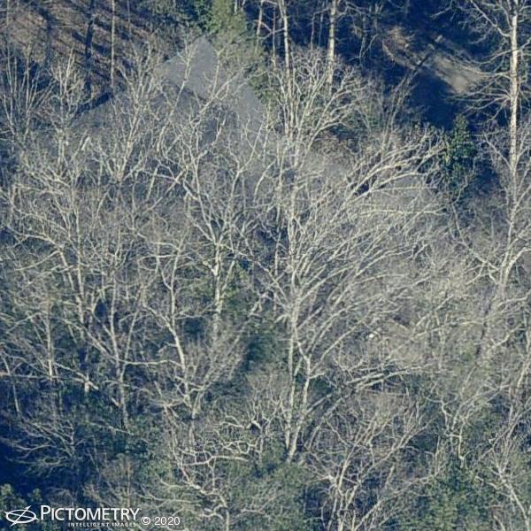 A picture of the property located at 53 GLEN COVE DR, ARDEN NC 28704.