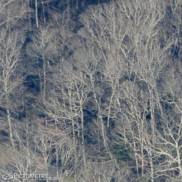 A picture of the property located at 17 GLEN COVE DR, ARDEN NC 28704.