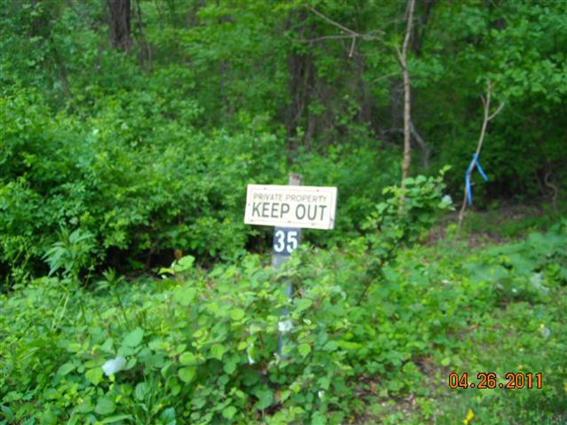 A picture of the property located at 35 PAUL WILLIAMS LN, ASHEVILLE NC 28803.