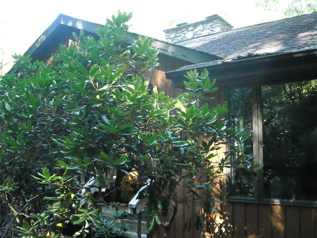 A picture of the property located at 16 PEBBLEBROOK LN, ASHEVILLE NC 28803.