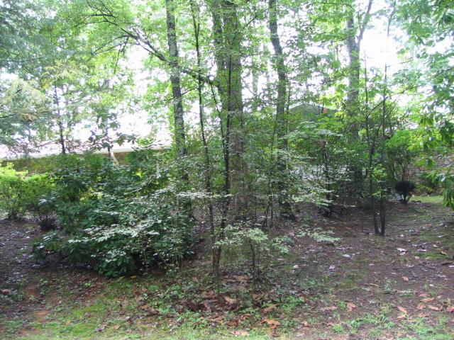 A picture of the property located at 24 AMHERST RD, ASHEVILLE NC 28803.