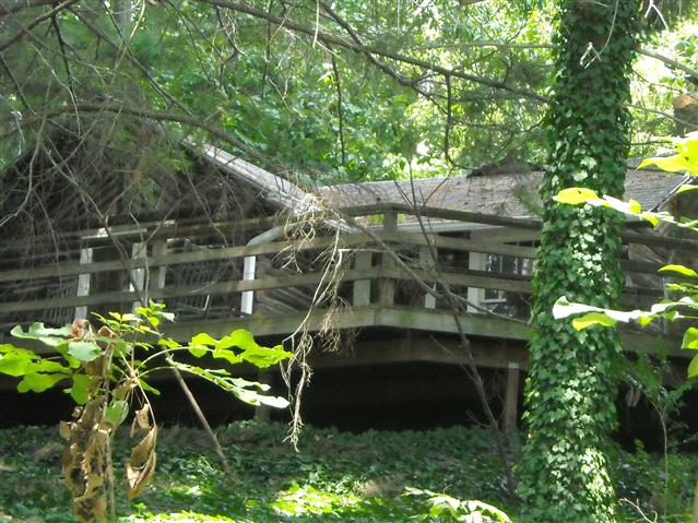 A picture of the property located at 313 CHUNNS COVE RD, ASHEVILLE NC 28805.