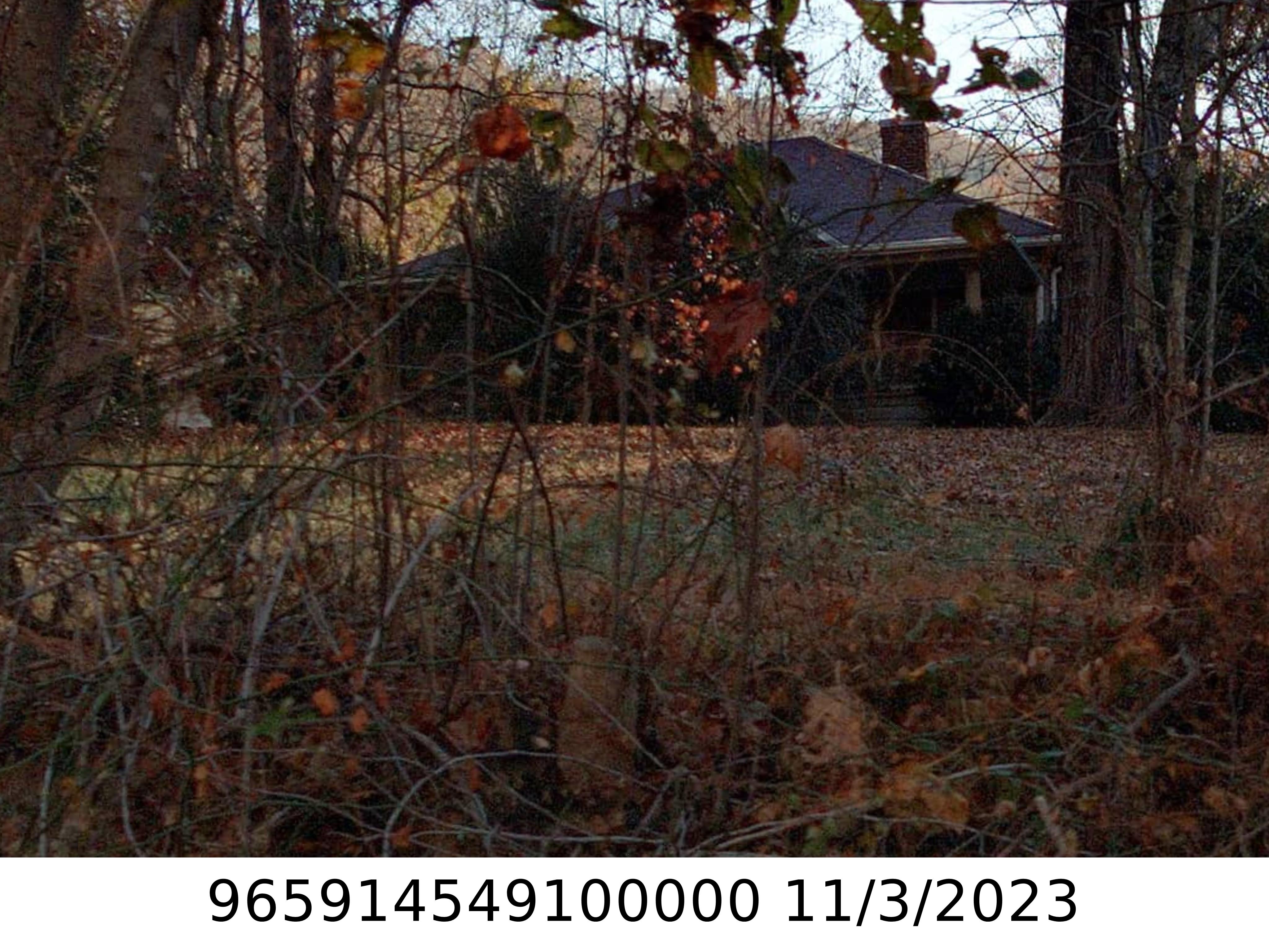 A picture of the property located at 385 CHUNNS COVE RD, ASHEVILLE NC 28805.