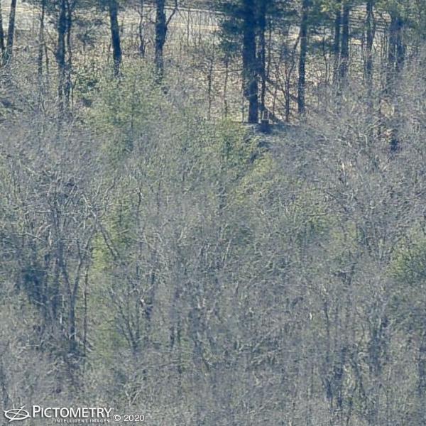 A picture of the property located at 400 COVEWOOD LN, ASHEVILLE NC 28805.
