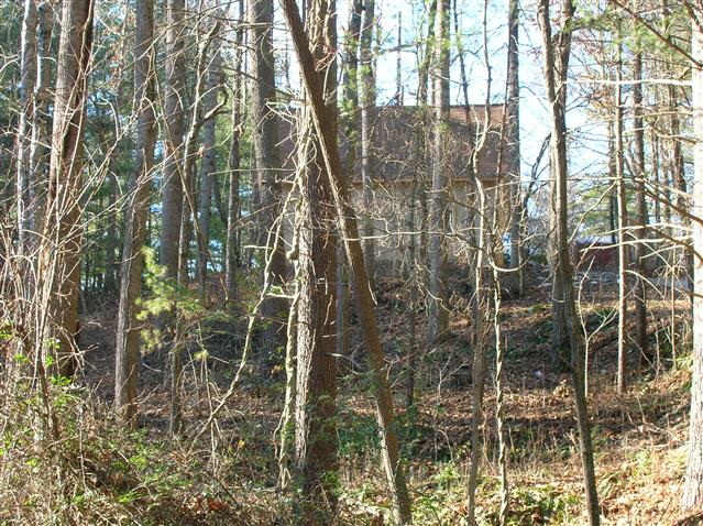 A picture of the property located at 3 BRAE BURN DR, ARDEN NC 28704.