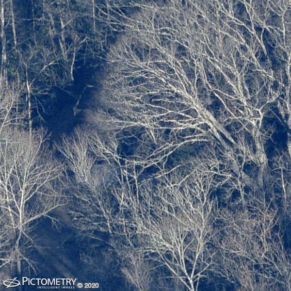 A picture of the property located at 118 CREEKWOOD COVE RD, FAIRVIEW NC 28730.