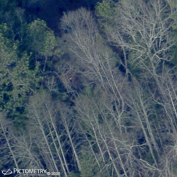 A picture of the property located at 1010 SHARON RIDGE RD, FAIRVIEW NC 28730.