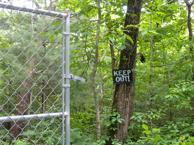 A picture of the property located at 33 COWAN LN, FAIRVIEW NC 28730.