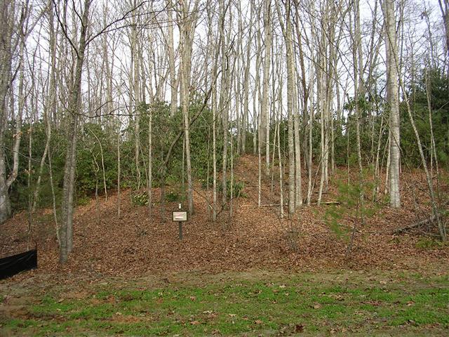 A picture of the property located at 168 NANCY ASHWORTH LN, FAIRVIEW NC 28730.