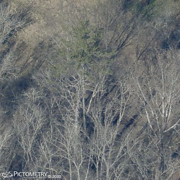 A picture of the property located at 60 GLENN LANCE LN, FAIRVIEW NC 28730.